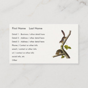 American Red Squirrel (Richardson's Columbian) Business Card