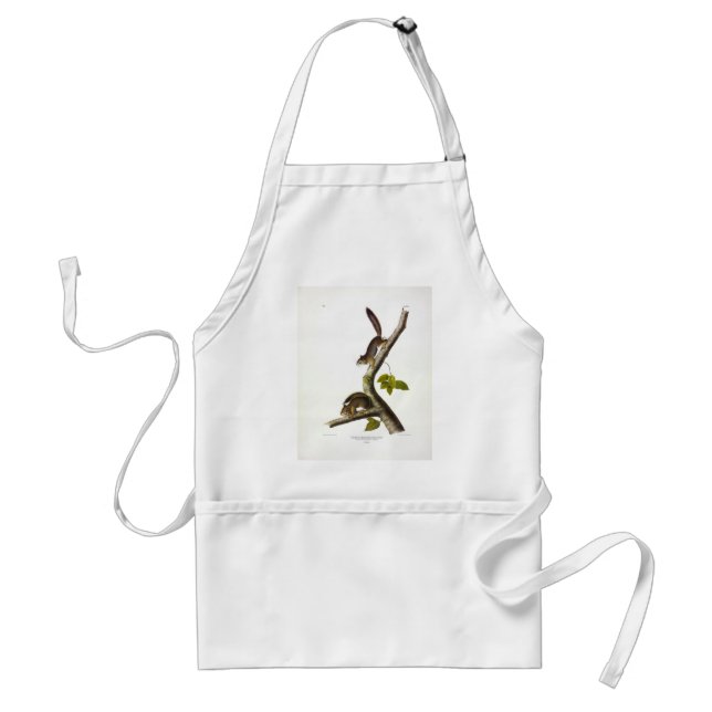 American Red Squirrel (Richardson's Columbian) Standard Apron (Front)