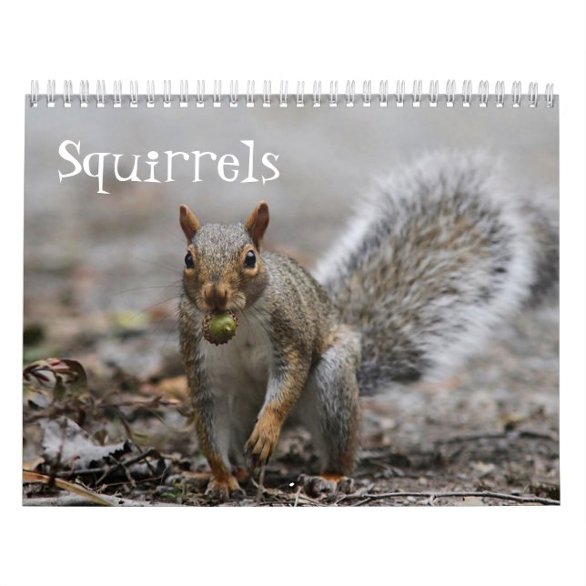 American Red Squirrels and Eastern Grey Squirrels Calendar (Cover)