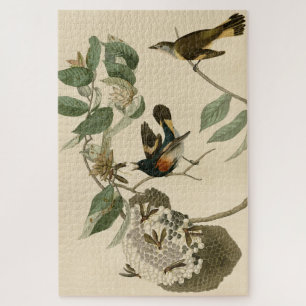 American Redstart from Audubon's Birds of America Jigsaw Puzzle