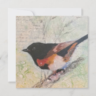 American Redstart Greeting Card