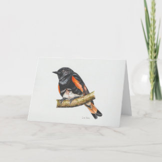 American Redstart Warbler Art Card