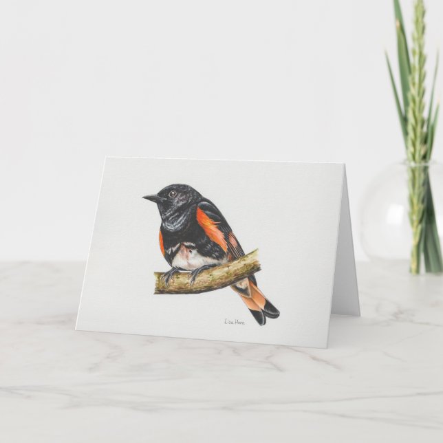 American Redstart Warbler Art Card (Front)