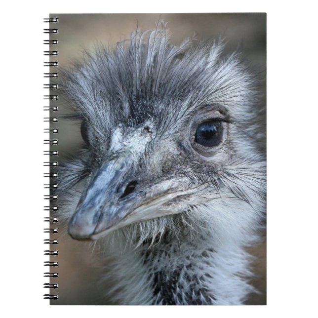 American Rhea Portrait Notebook (Front)