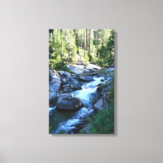 "American River" Canvas Print (Front)