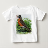 American Robin