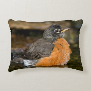 American Robin bathing 2 Decorative Cushion