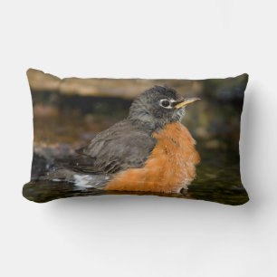 American Robin bathing 2 Lumbar Cushion