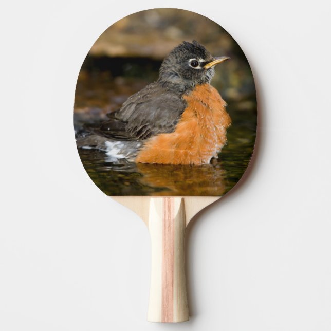 American Robin bathing 2 Ping Pong Paddle (Front)