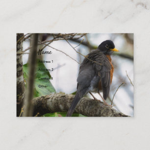 American Robin Bird Business Card