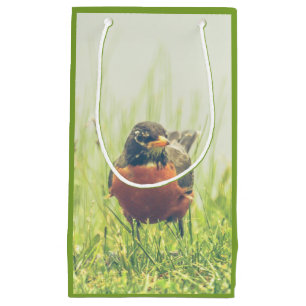 American Robin Bird Green Small Gift Bag