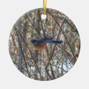 American Robin  Ceramic Tree Decoration
