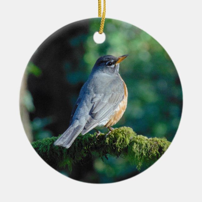 American Robin Ceramic Tree Decoration (Front)