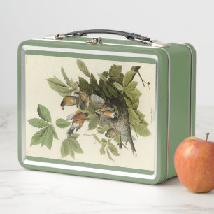 American Robin from Audubon's Birds of America Metal Lunch Box
