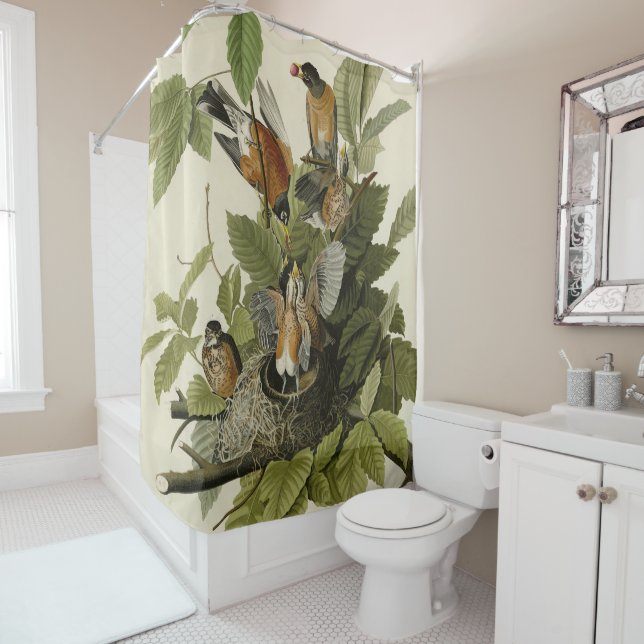 American Robin from Audubon's Birds of America Shower Curtain (In Situ)