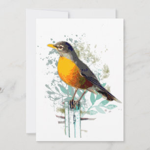 American Robin Garden Bird Wildlife Nature Art Pos Card