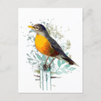 American Robin Garden Bird Wildlife Nature Art