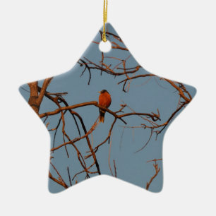 American Robin home to roost Ceramic Tree Decoration