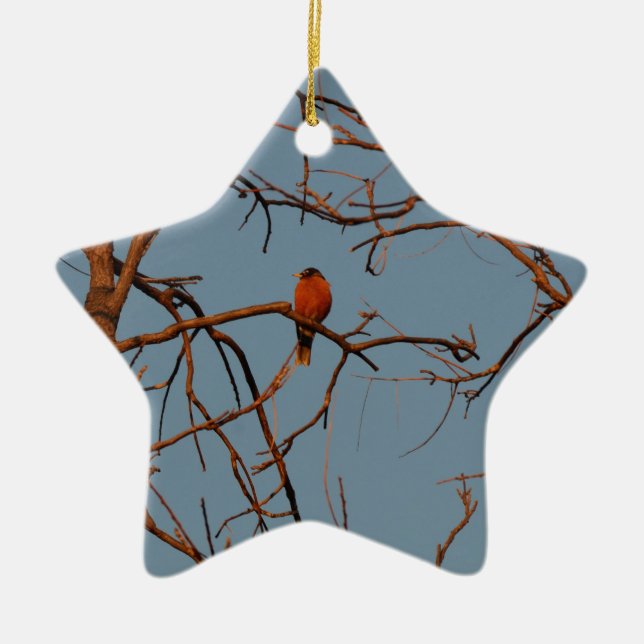 American Robin home to roost Ceramic Tree Decoration (Front)