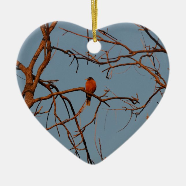 American Robin home to roost Ceramic Tree Decoration (Front)
