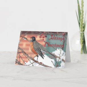 American Robin in winter Holiday Card