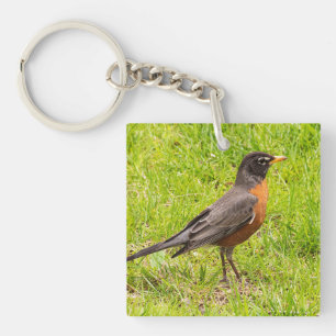 American Robin Key Ring