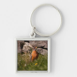 American Robin Key Ring