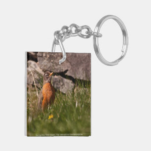 American Robin Key Ring
