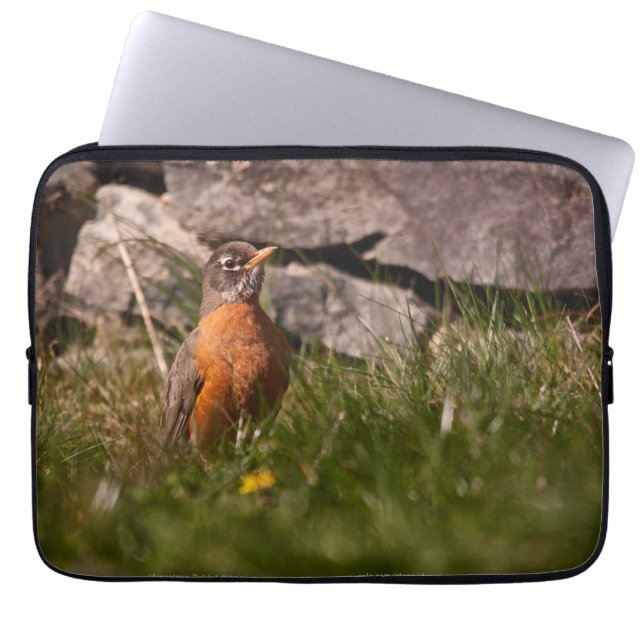 American Robin Laptop Sleeve (Front)