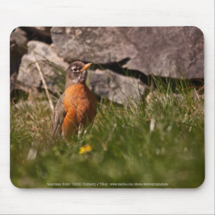 American Robin Mouse Pad