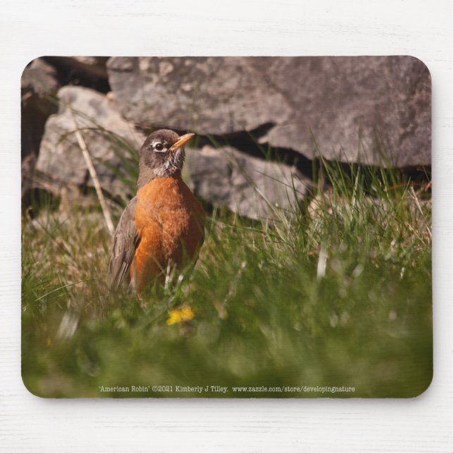 American Robin Mouse Pad (Front)