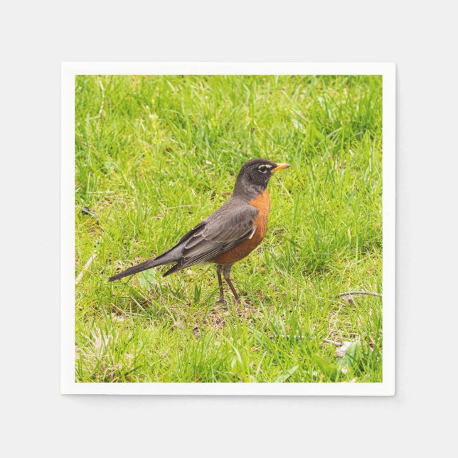 American Robin Napkin (Front)