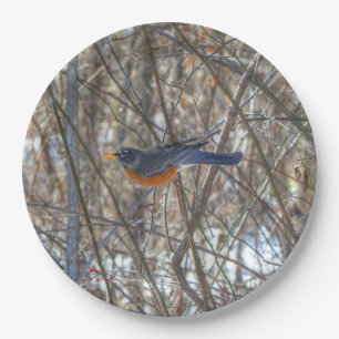 American Robin Paper Plate