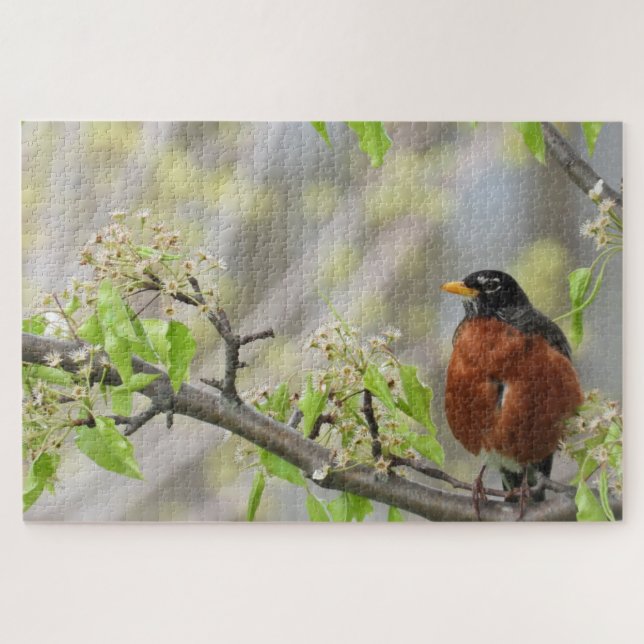 American Robin perched on a flowering branch Jigsaw Puzzle (Horizontal)