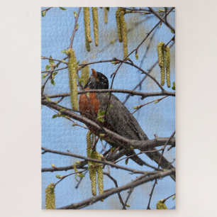 American Robin perched on branch with catkins Jigsaw Puzzle