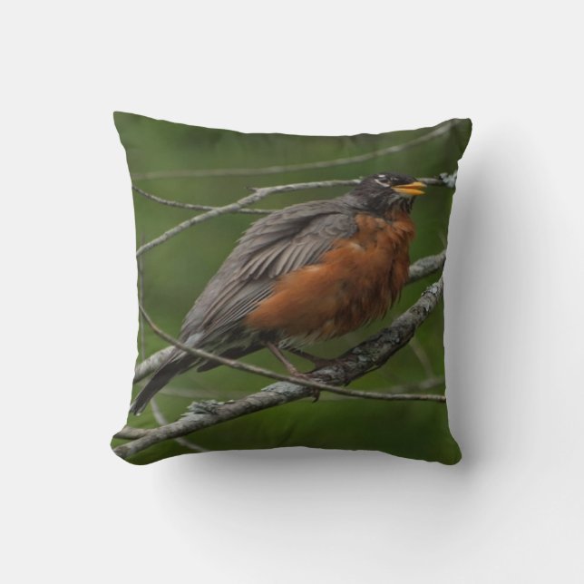American Robin Photo #2 Cushion (Front)