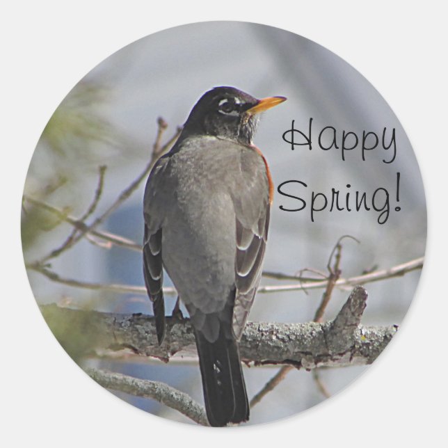 American robin photo classic round sticker (Front)