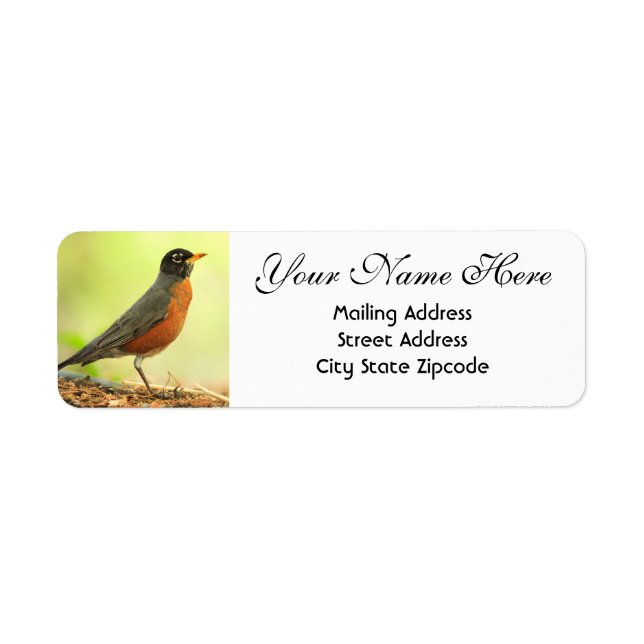 American Robin Return Address (Front)