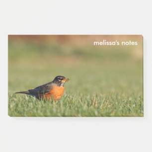 American Robin the Winter Grass Post-it Notes