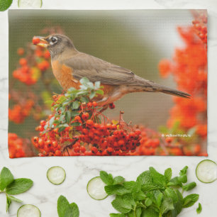 American Robin with a Pyracantha Pomme Tea Towel