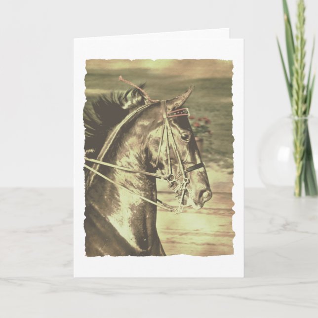 American Saddlebred Faux Vintage Card (Front)