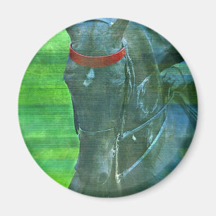 American Saddlebred Magnet