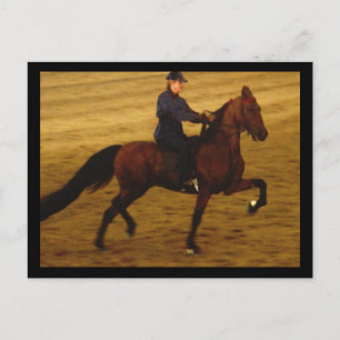 American Saddlebred Postcard