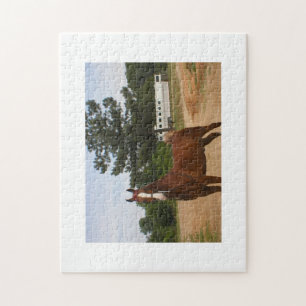 American Saddlebred Puzzle
