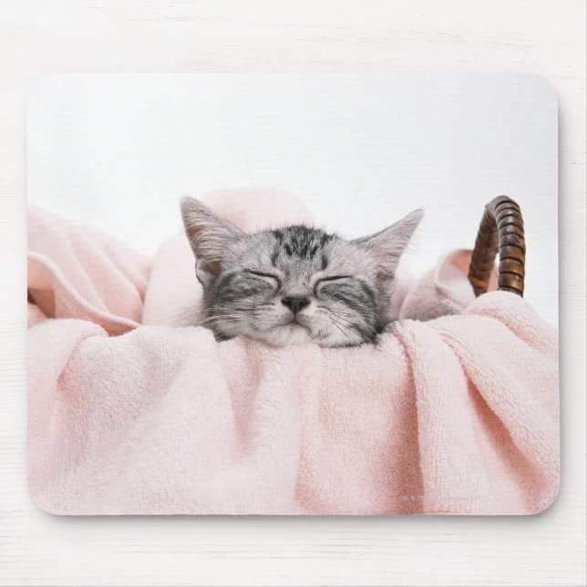 American Shorthair 10 Mouse Pad (Front)