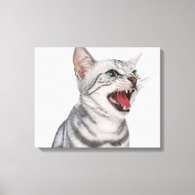 American Shorthair 5 Canvas Print (Front)