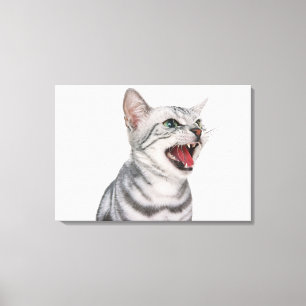 American Shorthair 5 Canvas Print