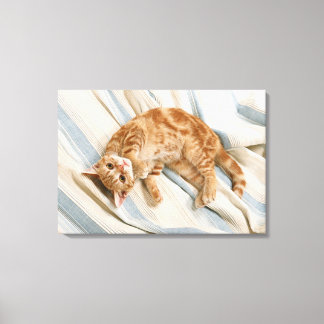 American Shorthair 7 Canvas Print