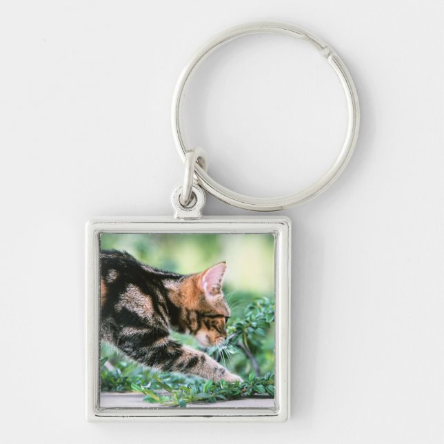 American Shorthair 7 Key Ring (Front)