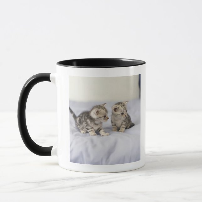 American Shorthair 7 Mug (Left)